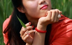 japanesehdpomo xxjapan